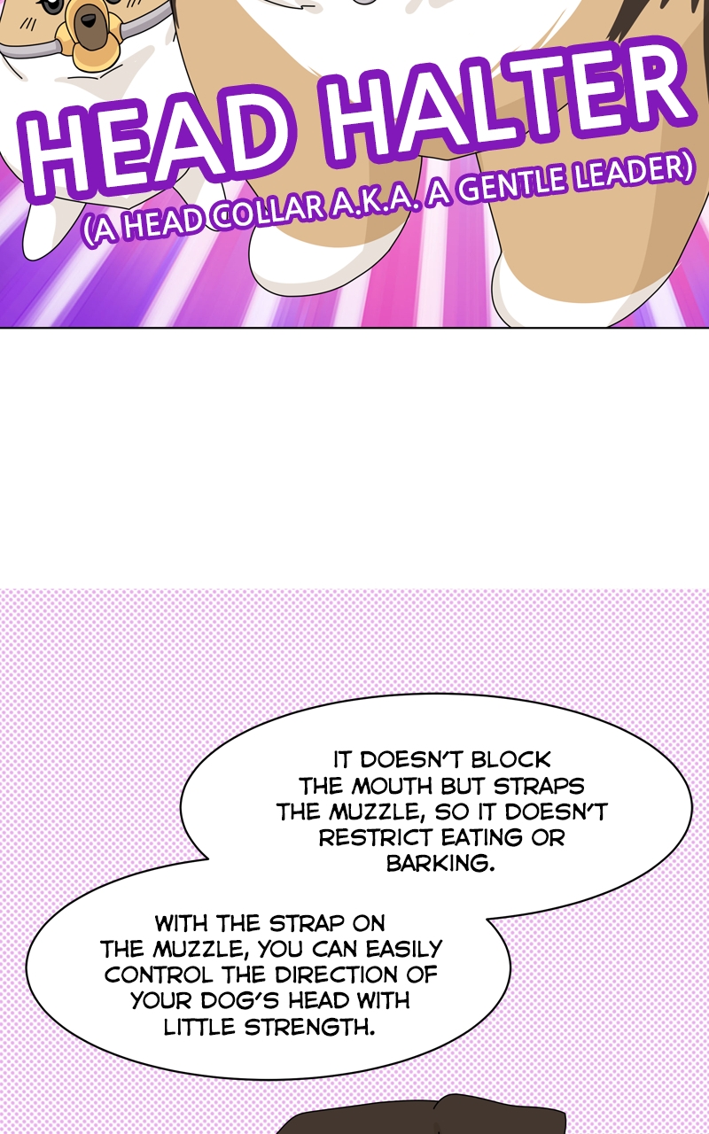 Read The Dog Diaries ENGLISH Manga Online