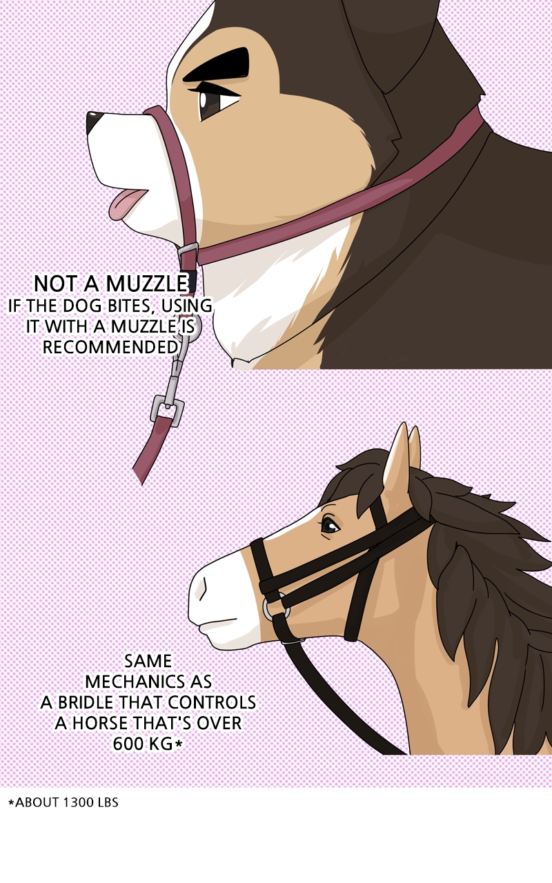 Read The Dog Diaries ENGLISH Manga Online