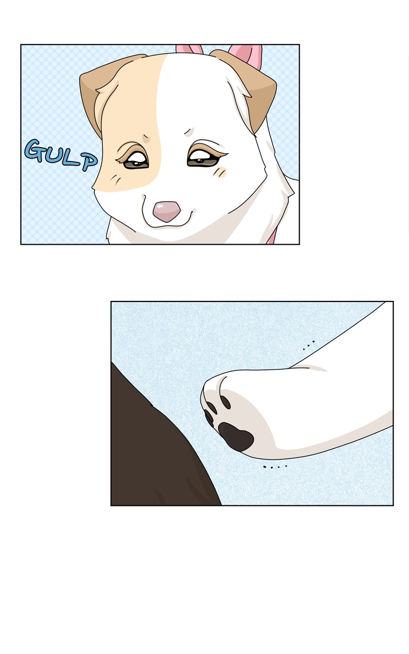 Read The Dog Diaries ENGLISH Manga Online