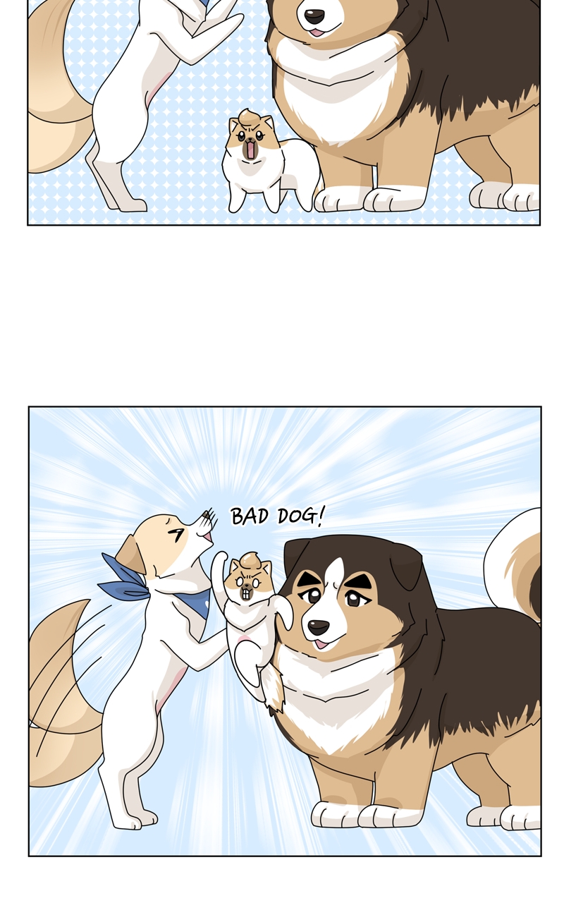 Read The Dog Diaries ENGLISH Manga Online