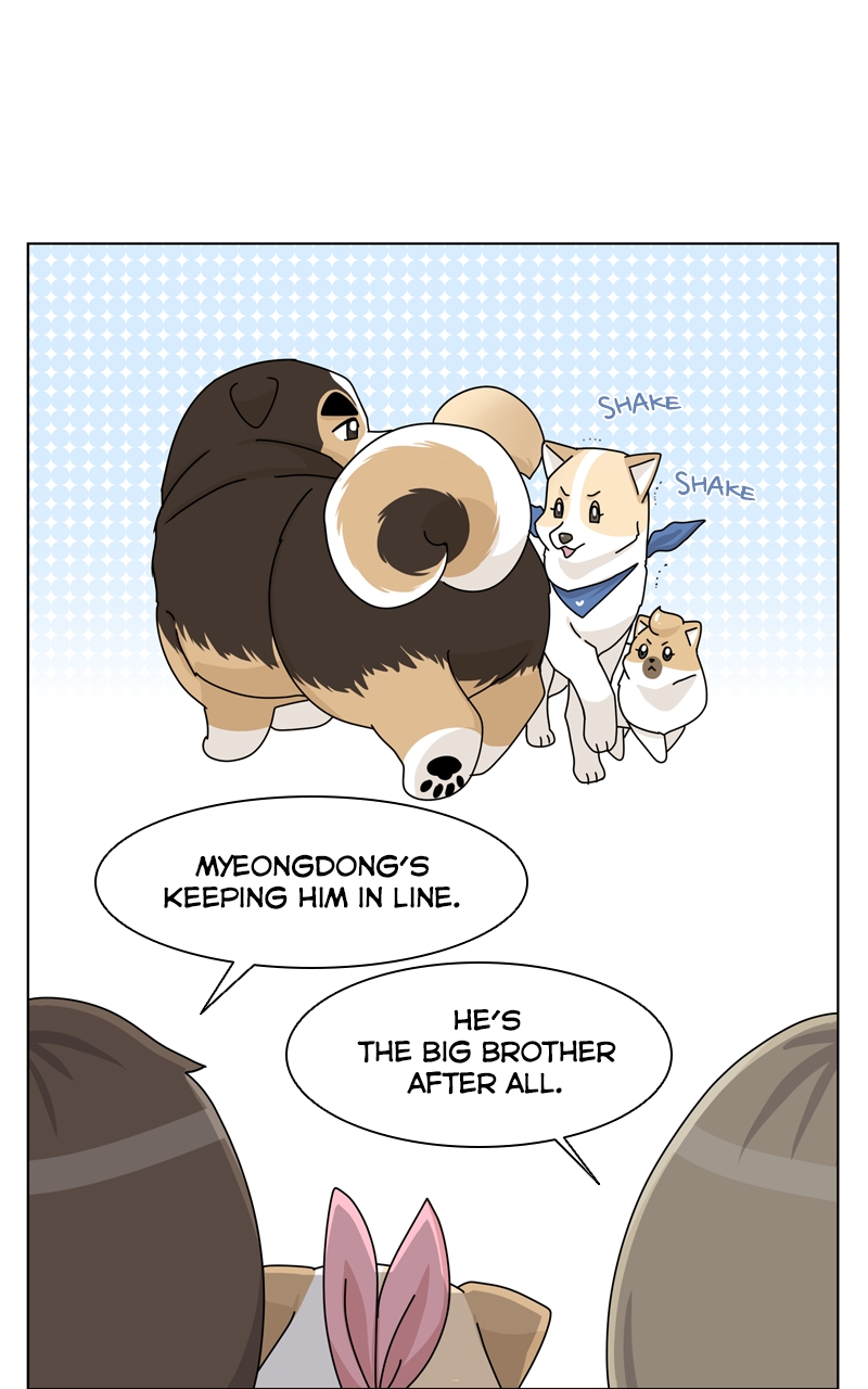 Read The Dog Diaries ENGLISH Manga Online