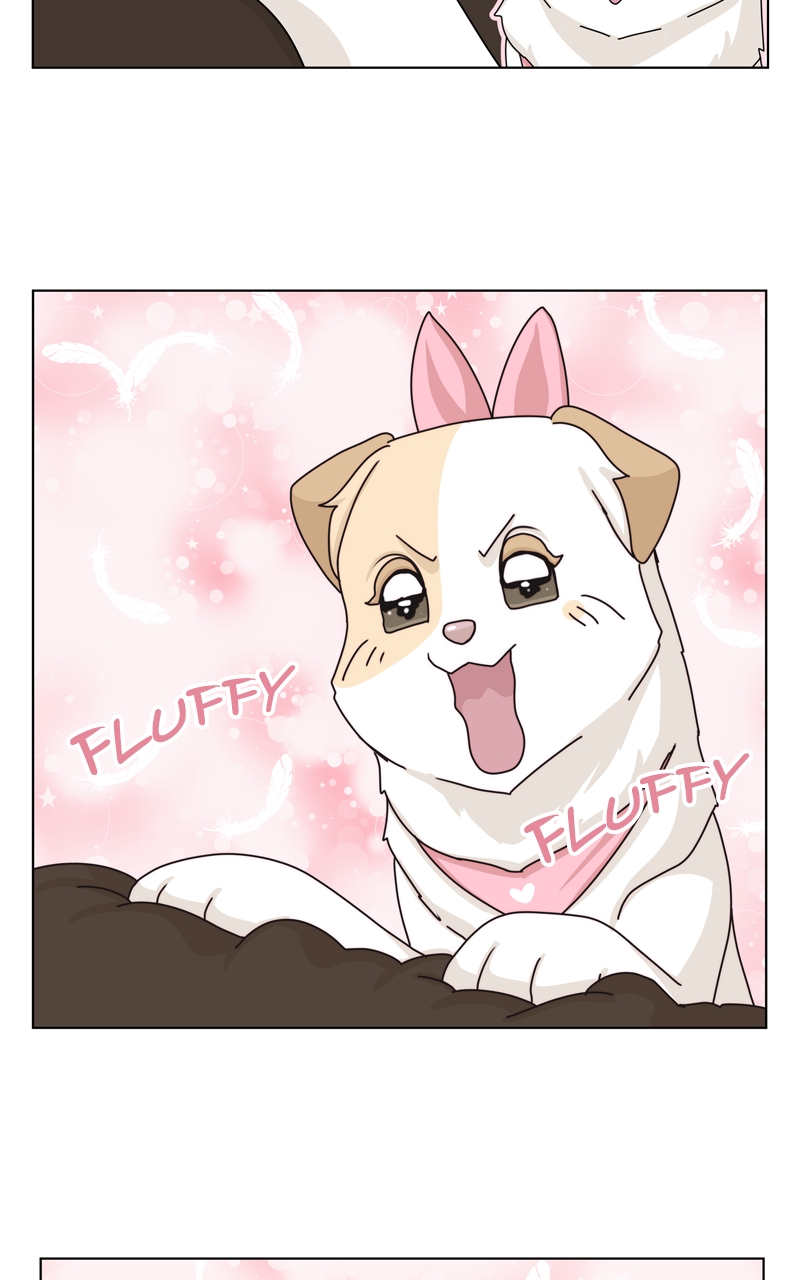 Read The Dog Diaries ENGLISH Manga Online