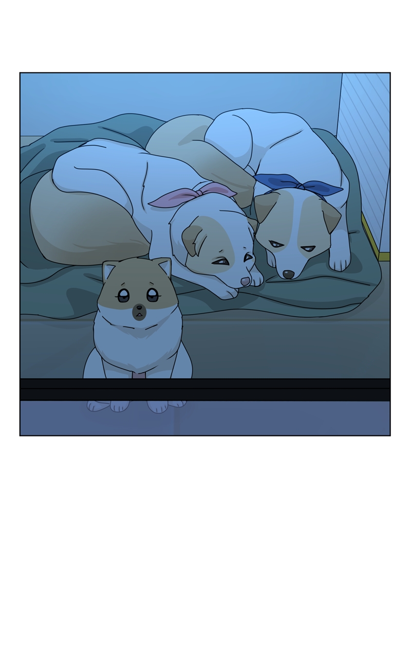 Read The Dog Diaries ENGLISH Manga Online