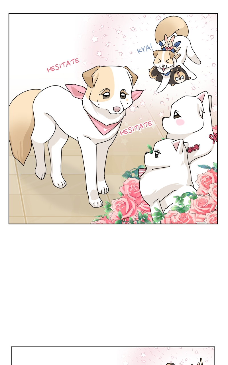 Read The Dog Diaries ENGLISH Manga Online