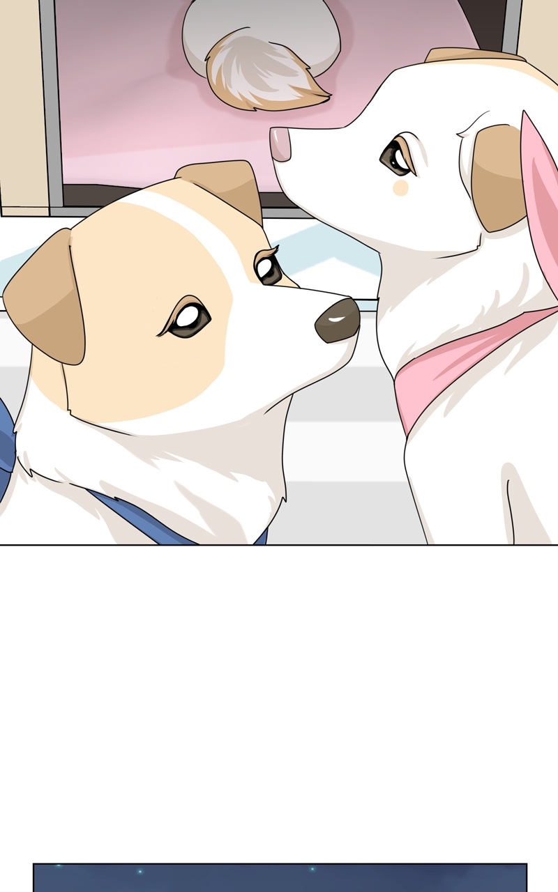 Read The Dog Diaries ENGLISH Manga Online