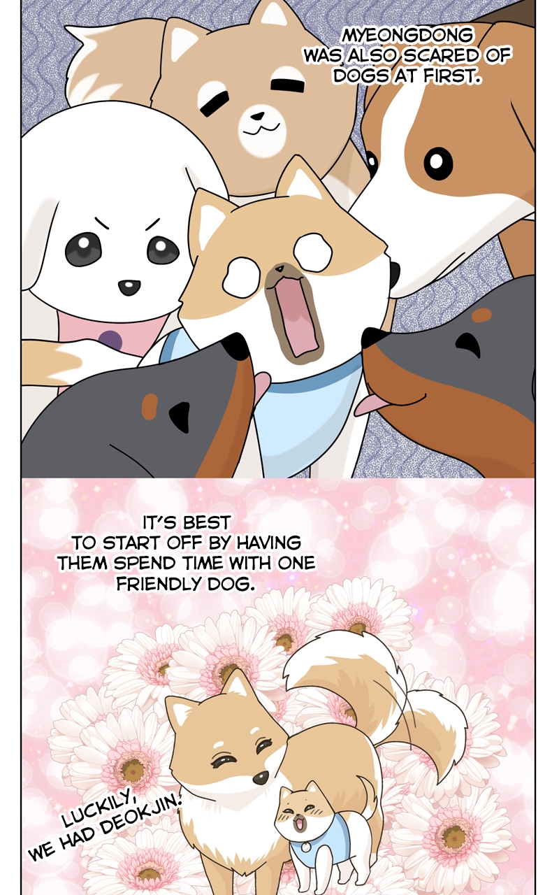 Read The Dog Diaries ENGLISH Manga Online