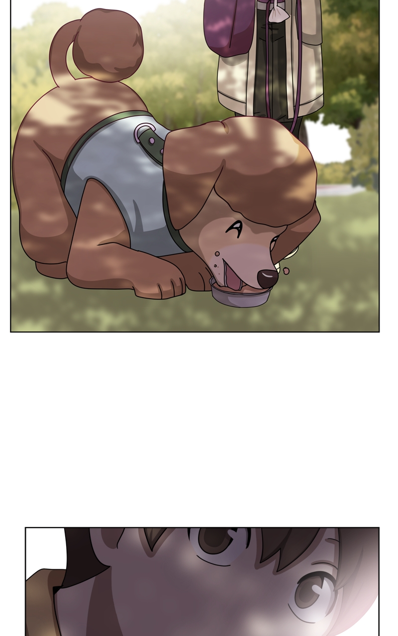 Read The Dog Diaries ENGLISH Manga Online