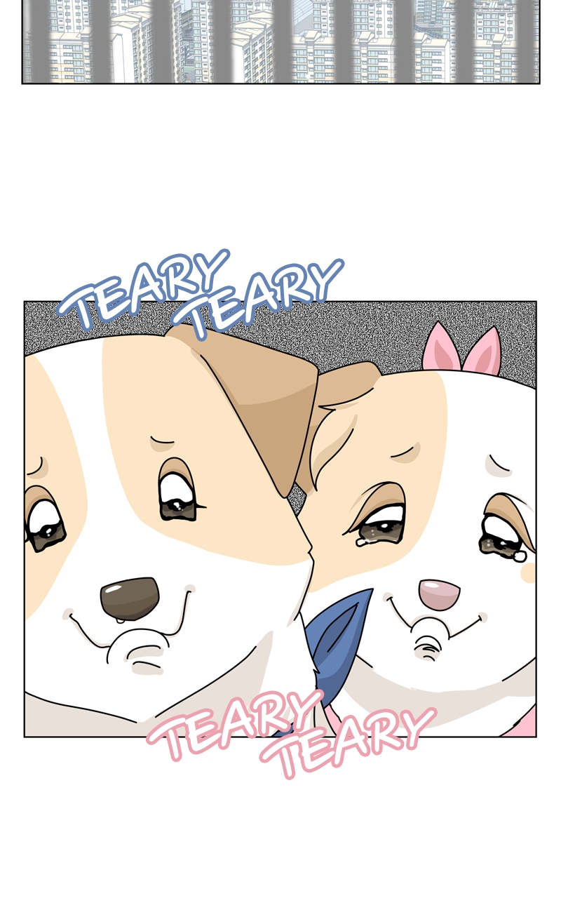 Read The Dog Diaries ENGLISH Manga Online