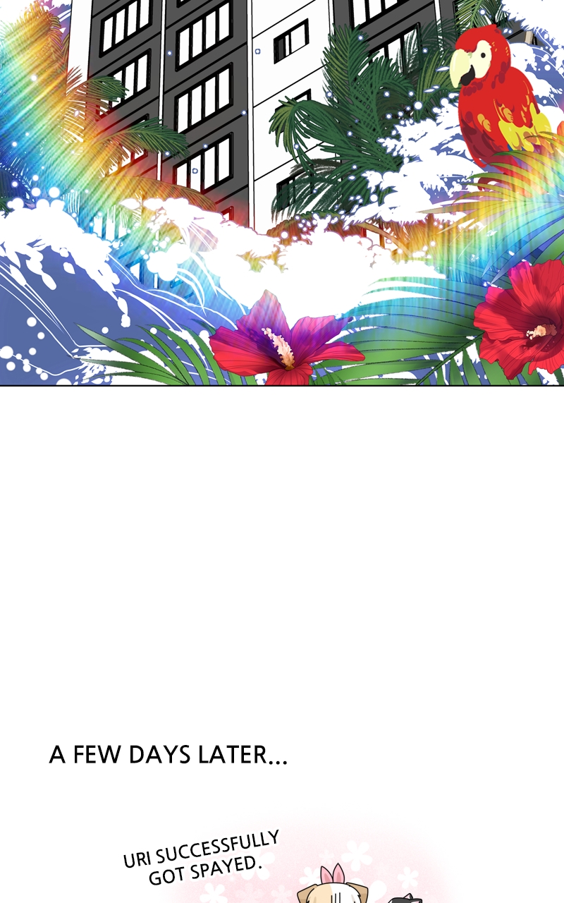 Read The Dog Diaries ENGLISH Manga Online