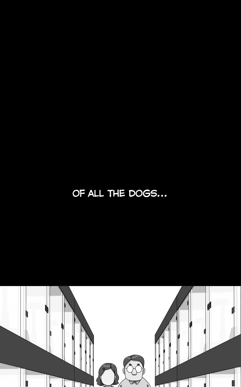 Read The Dog Diaries ENGLISH Manga Online