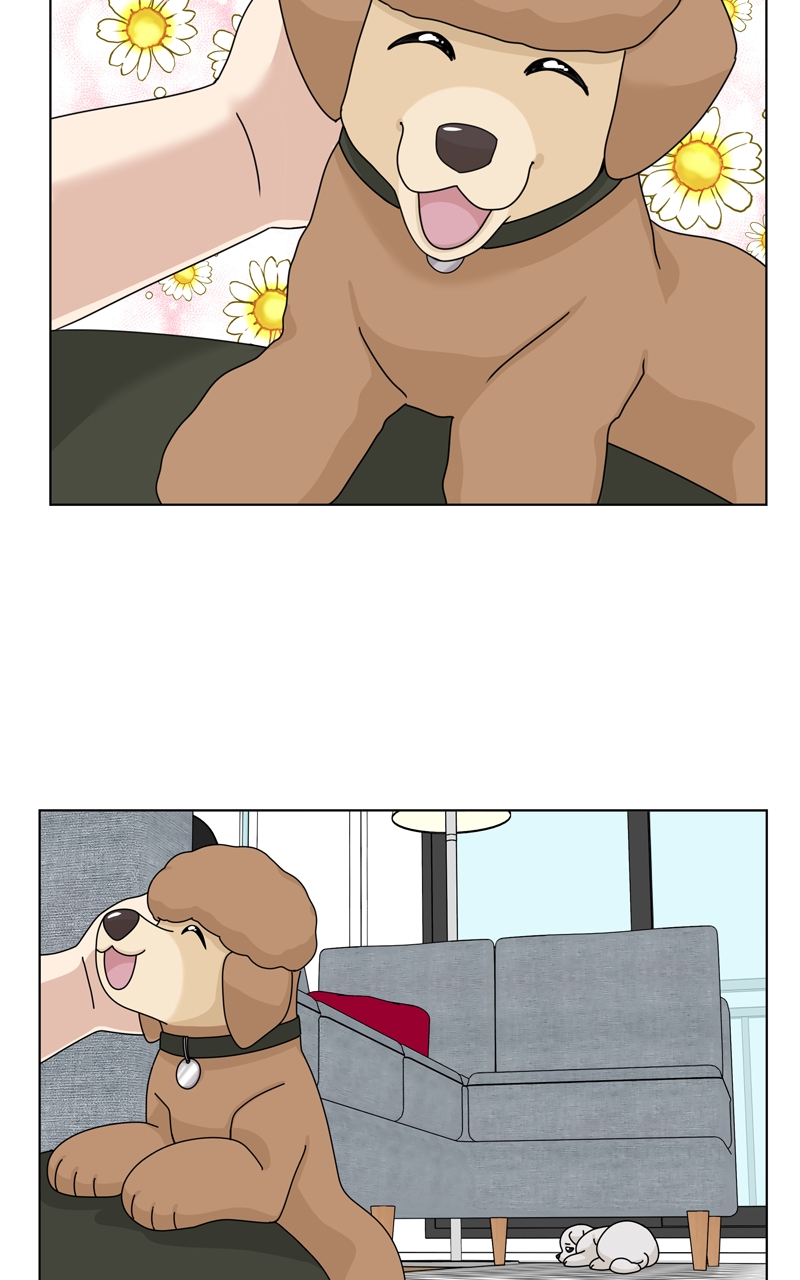 Read The Dog Diaries ENGLISH Manga Online