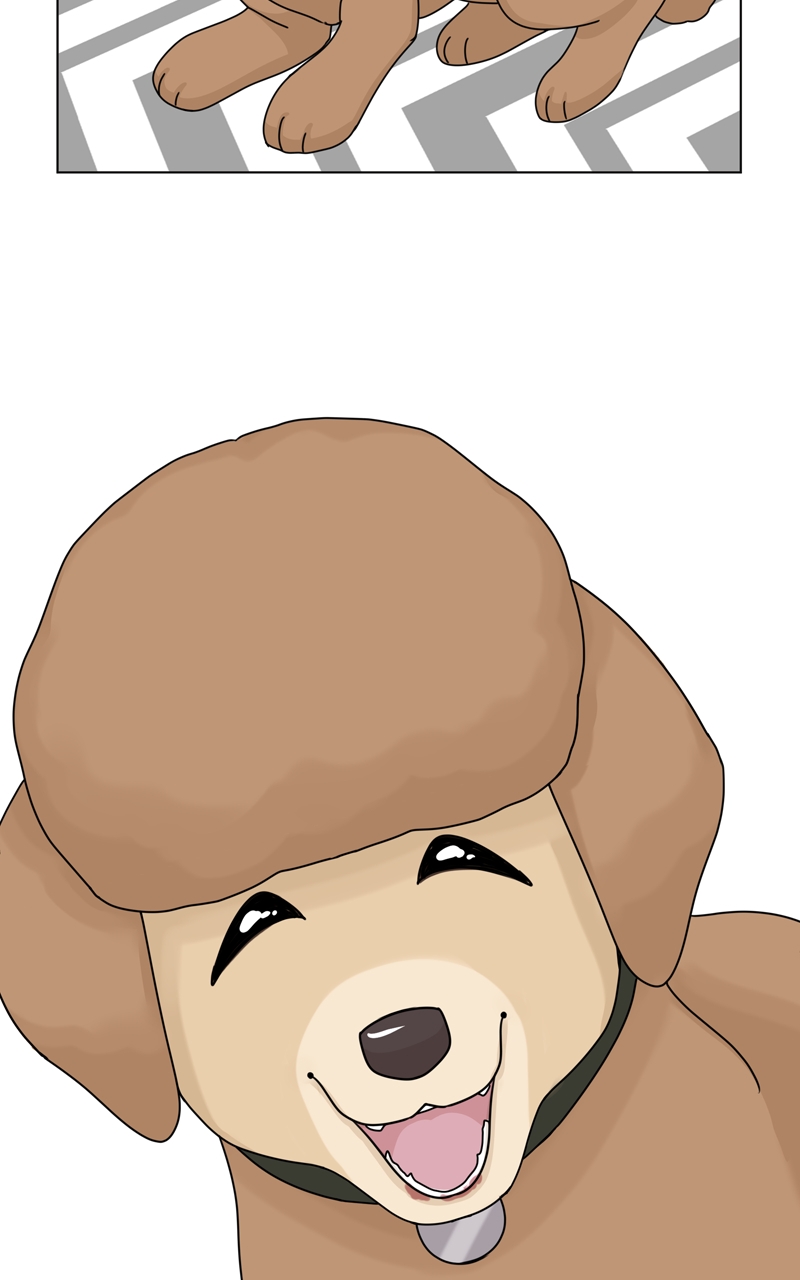 Read The Dog Diaries ENGLISH Manga Online