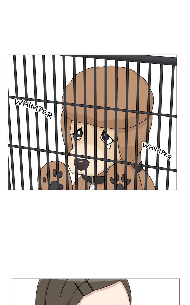 Read The Dog Diaries ENGLISH Manga Online