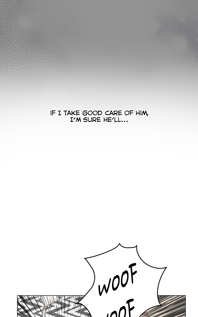 Read The Dog Diaries ENGLISH Manga Online