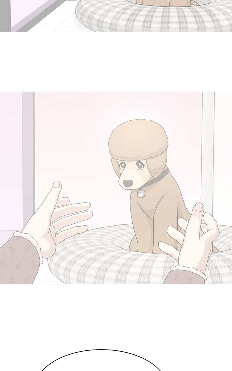 Read The Dog Diaries ENGLISH Manga Online