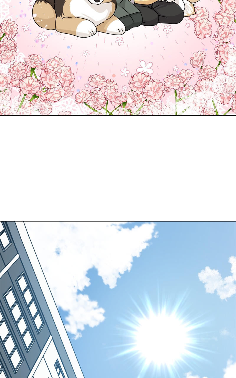 Read The Dog Diaries ENGLISH Manga Online