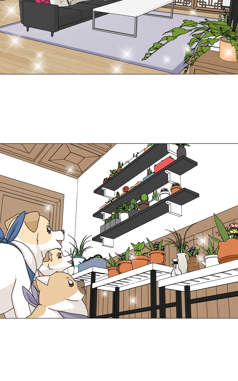 Read The Dog Diaries ENGLISH Manga Online