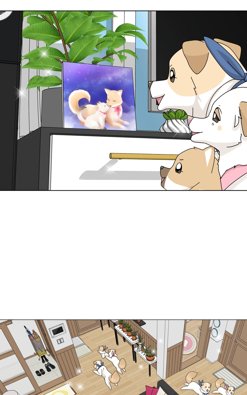 Read The Dog Diaries ENGLISH Manga Online