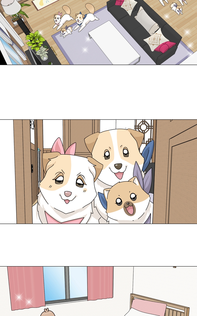 Read The Dog Diaries ENGLISH Manga Online