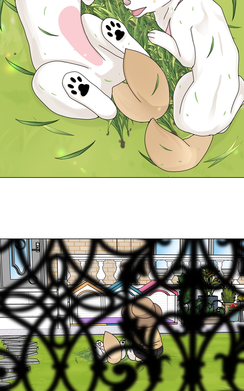 Read The Dog Diaries ENGLISH Manga Online