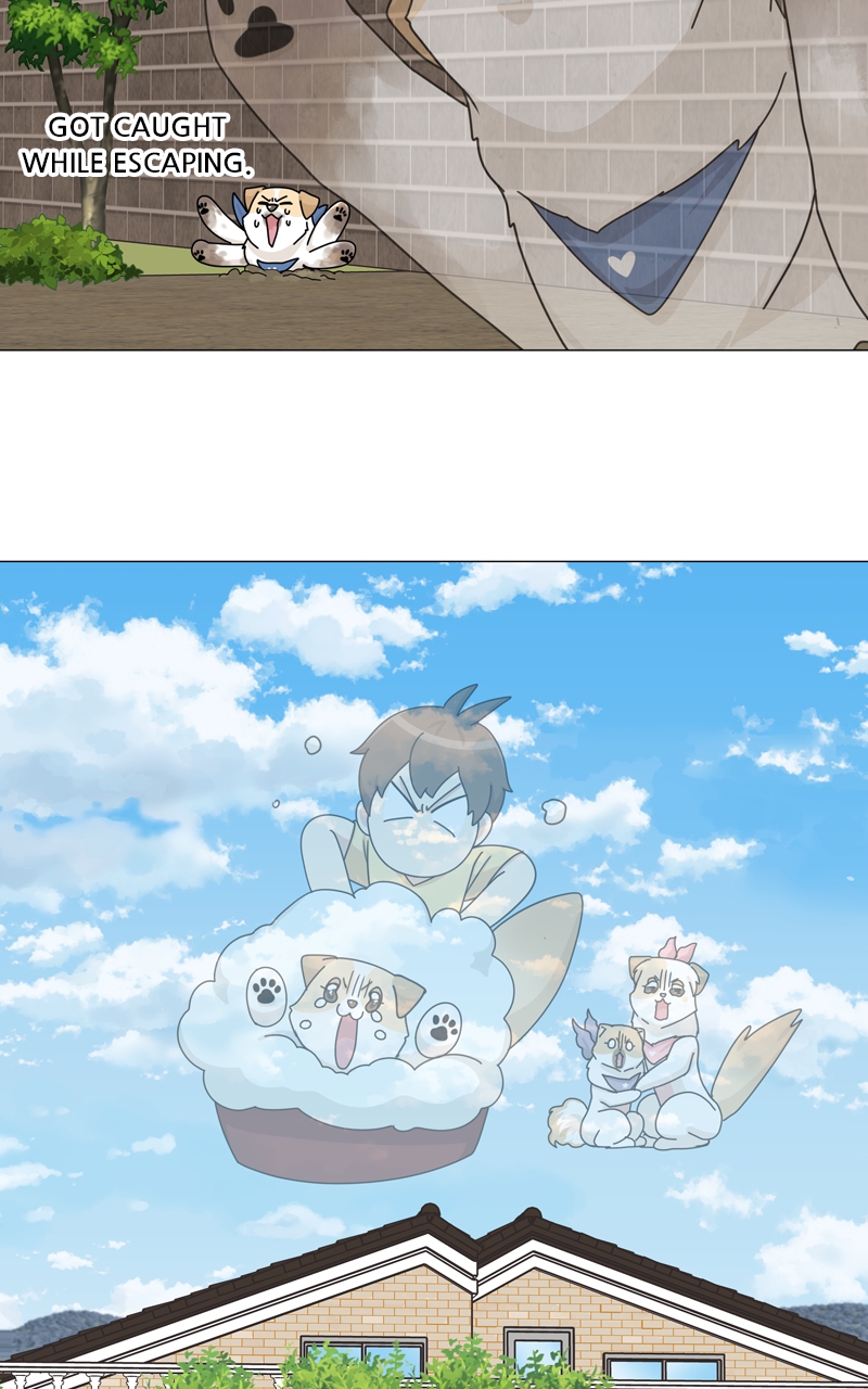 Read The Dog Diaries ENGLISH Manga Online