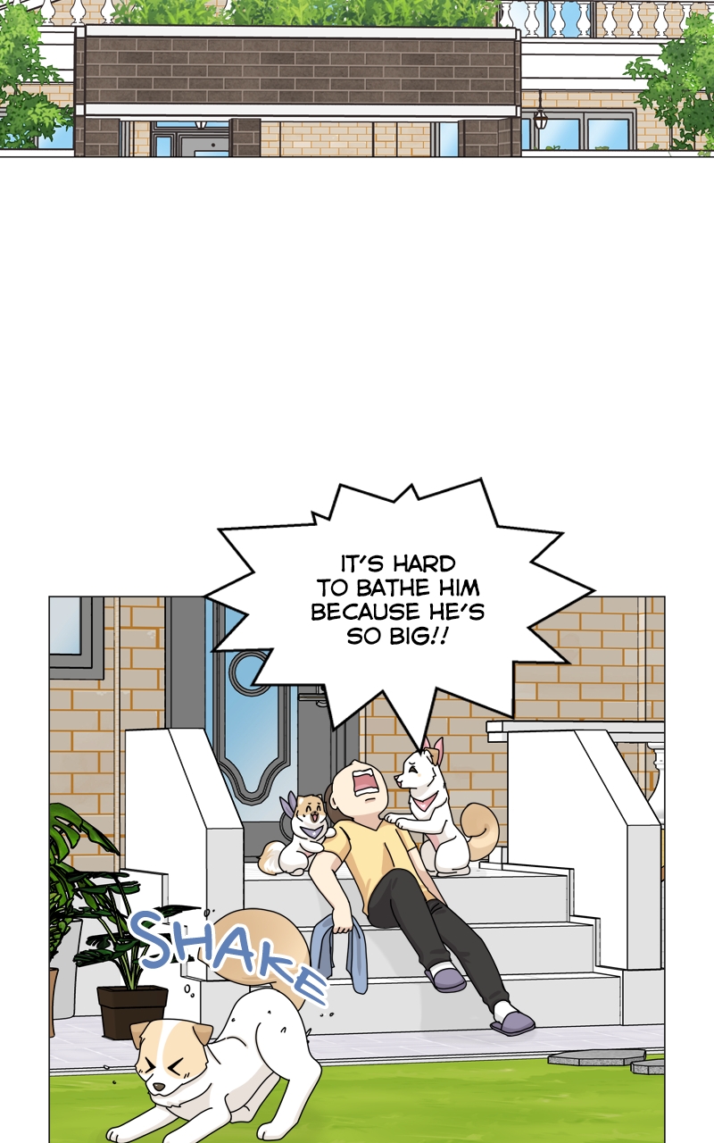 Read The Dog Diaries ENGLISH Manga Online