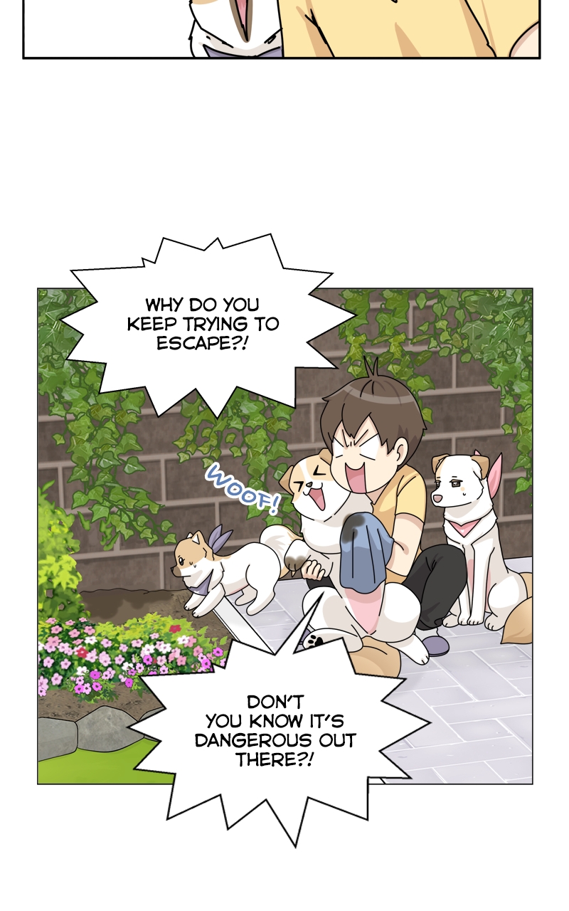 Read The Dog Diaries ENGLISH Manga Online