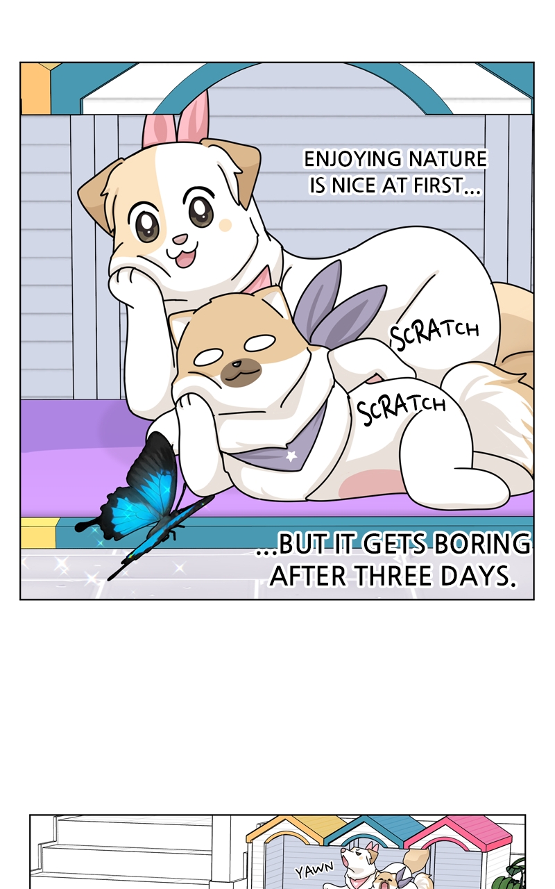 Read The Dog Diaries ENGLISH Manga Online