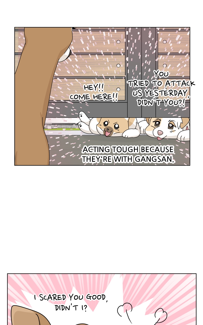 Read The Dog Diaries ENGLISH Manga Online