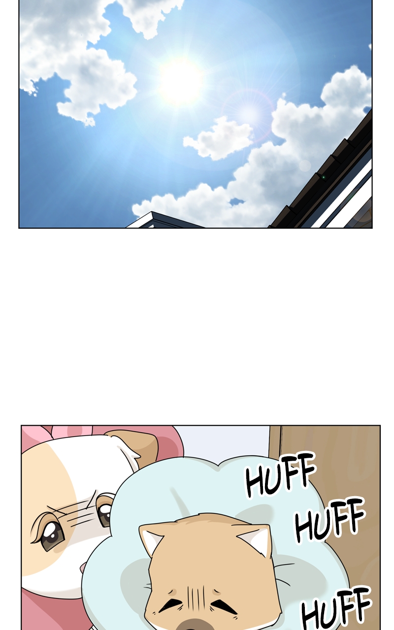 Read The Dog Diaries ENGLISH Manga Online