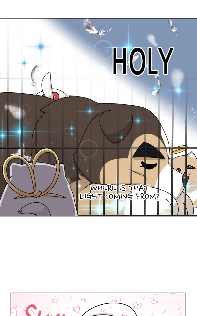 Read The Dog Diaries ENGLISH Manga Online