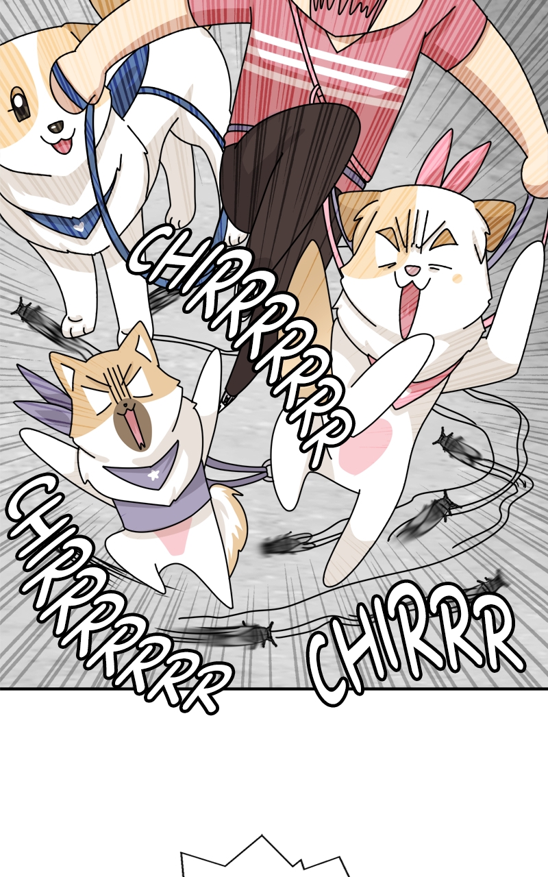 Read The Dog Diaries ENGLISH Manga Online