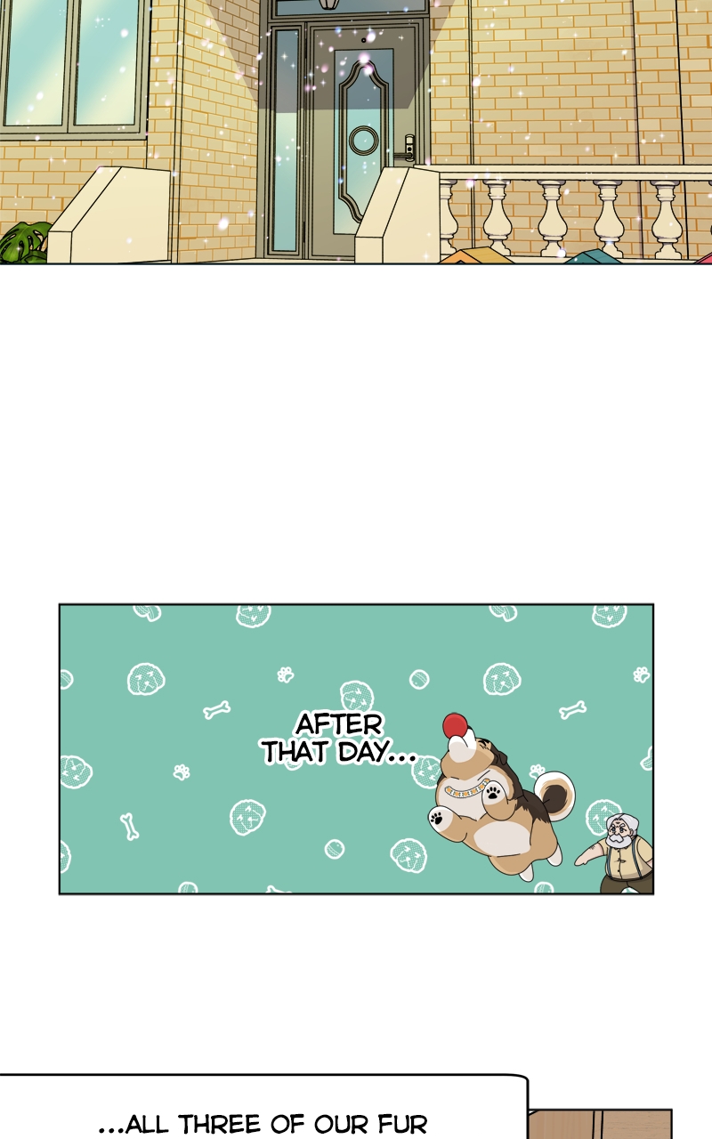 Read The Dog Diaries ENGLISH Manga Online