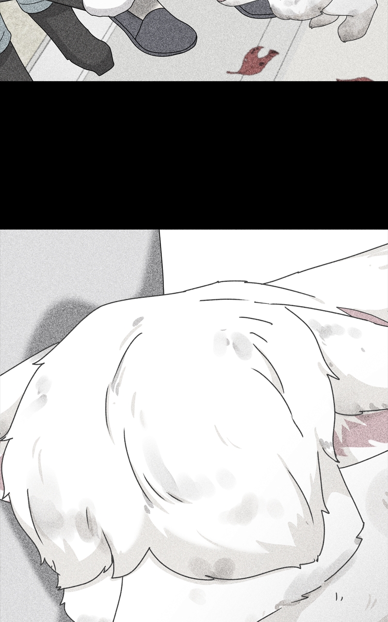 Read The Dog Diaries ENGLISH Manga Online