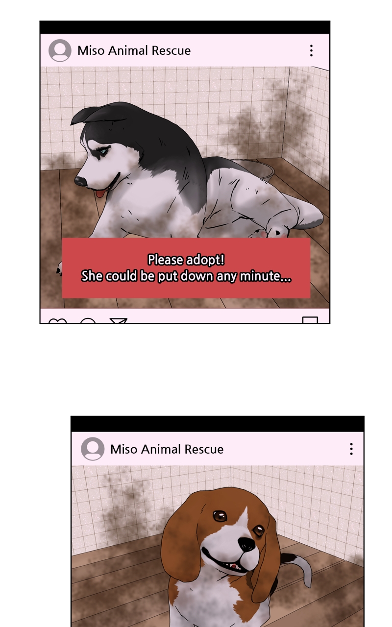 Read The Dog Diaries ENGLISH Manga Online