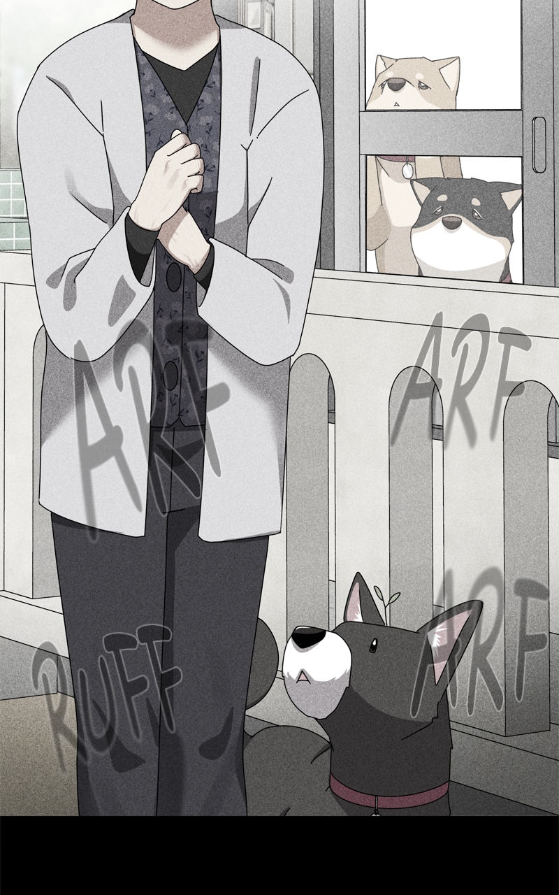 Read The Dog Diaries ENGLISH Manga Online