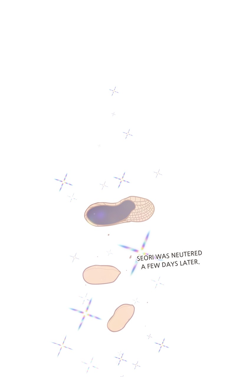 Read The Dog Diaries ENGLISH Manga Online