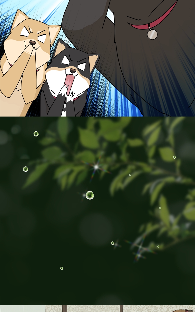 Read The Dog Diaries ENGLISH Manga Online