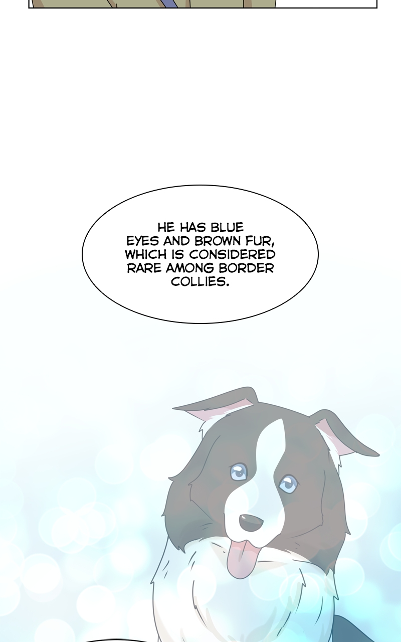 Read The Dog Diaries ENGLISH Manga Online