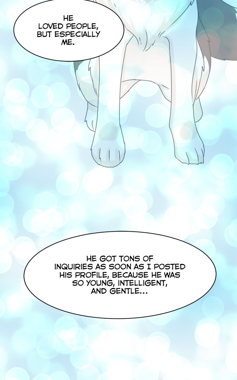 Read The Dog Diaries ENGLISH Manga Online