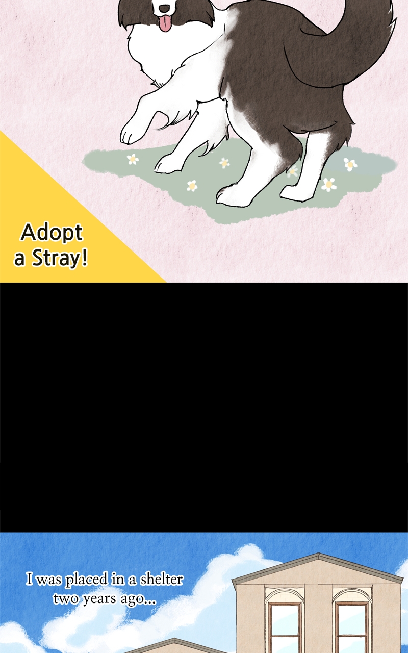 Read The Dog Diaries ENGLISH Manga Online