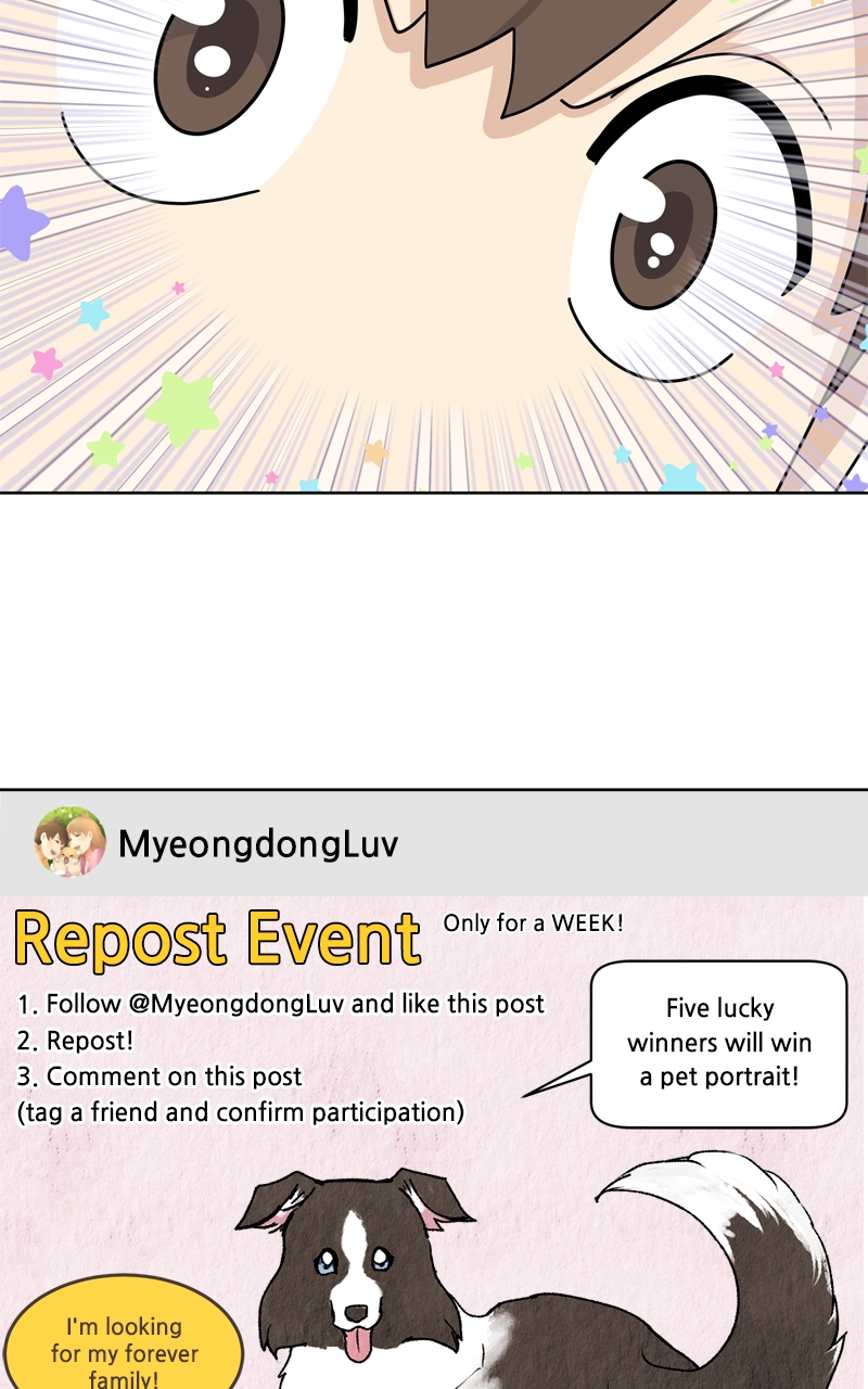 Read The Dog Diaries ENGLISH Manga Online