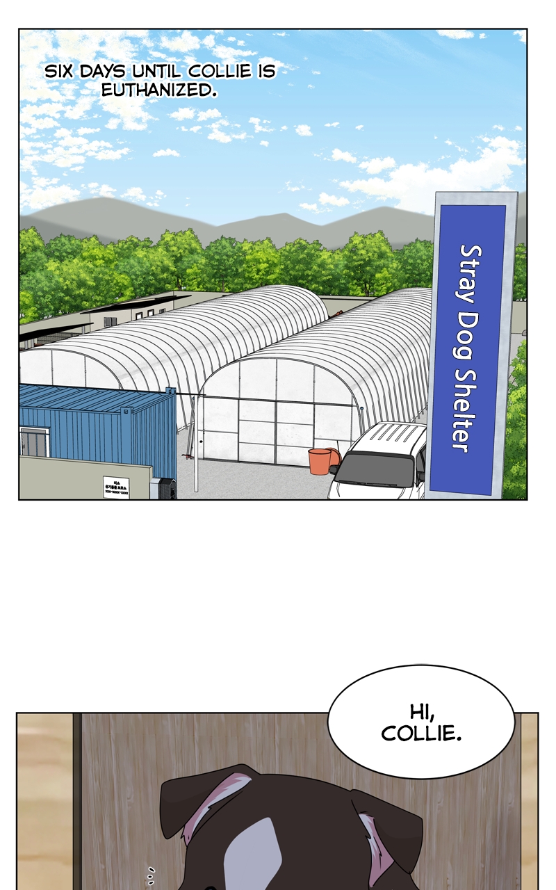 Read The Dog Diaries ENGLISH Manga Online