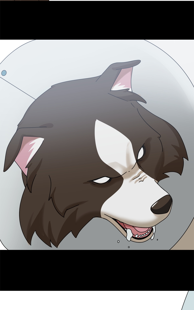 Read The Dog Diaries ENGLISH Manga Online