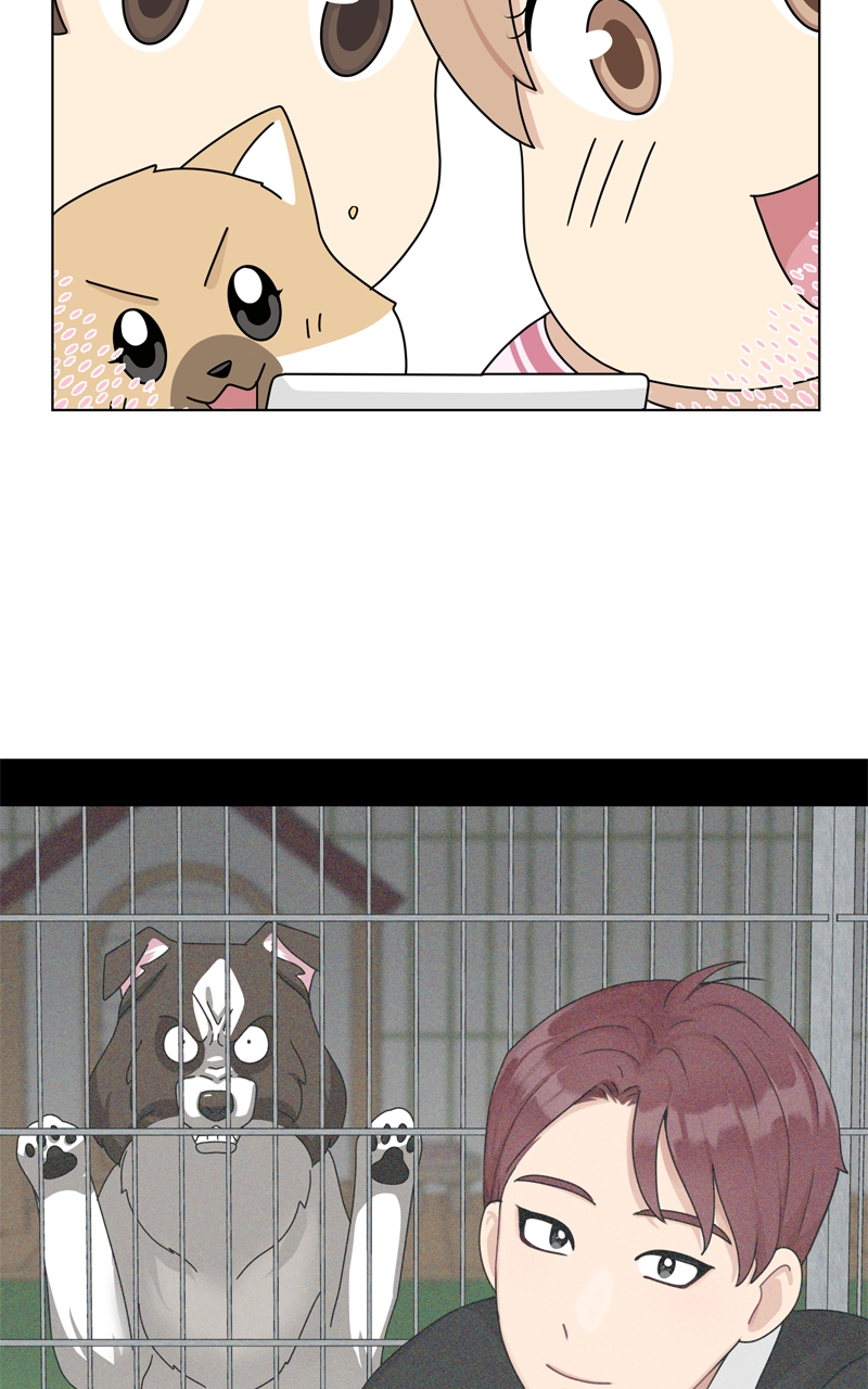 Read The Dog Diaries ENGLISH Manga Online