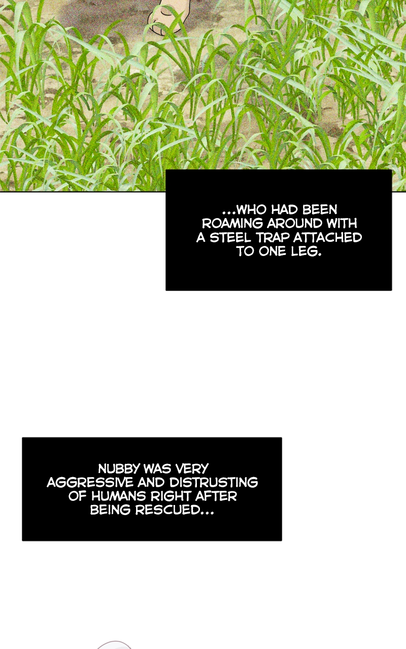 Read The Dog Diaries ENGLISH Manga Online