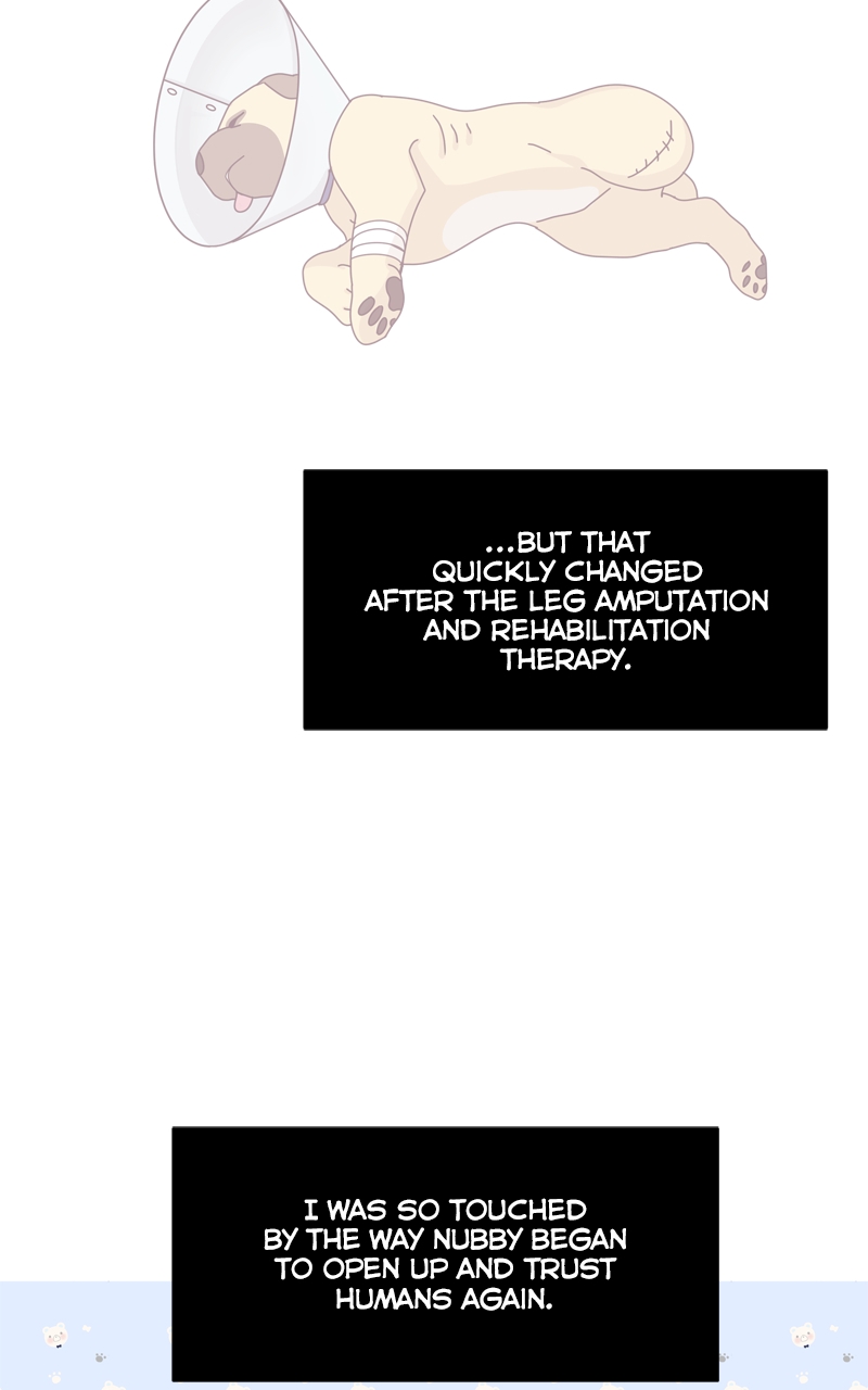 Read The Dog Diaries ENGLISH Manga Online