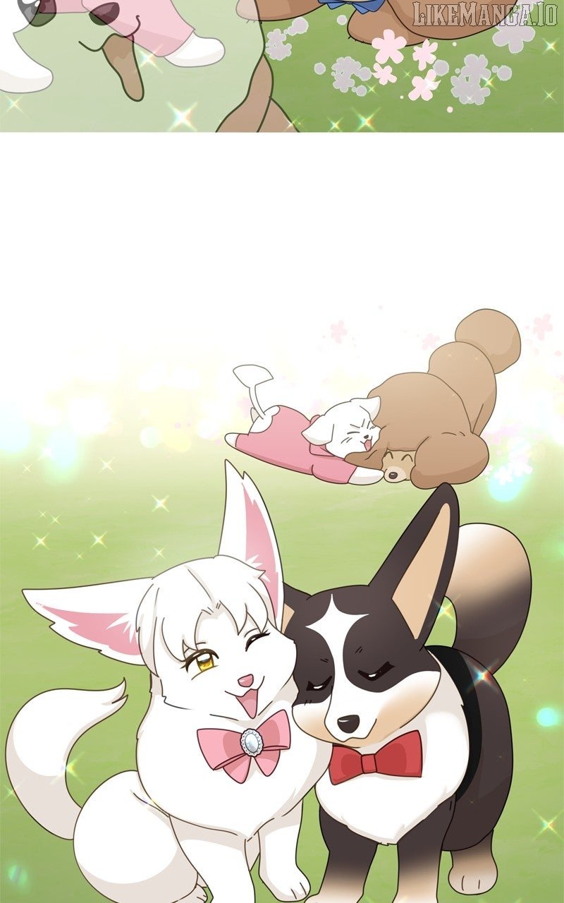 Read The Dog Diaries ENGLISH Manga Online