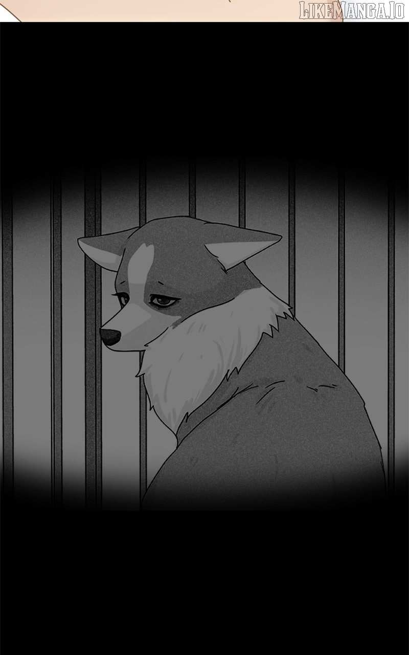 Read The Dog Diaries ENGLISH Manga Online