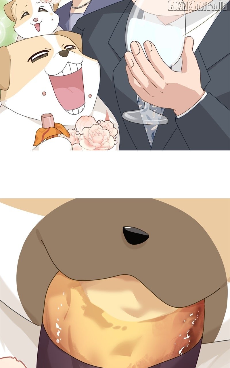 Read The Dog Diaries ENGLISH Manga Online